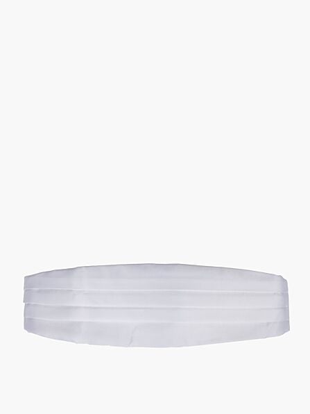 Evening Collection Cummerbund